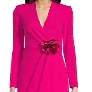 Eliza J Dresses Eliza J Petite Size Long Sleeve Vneck Organza